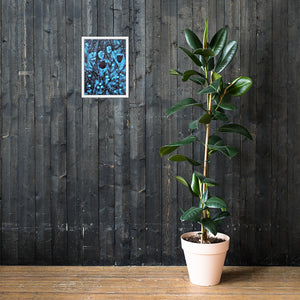 a potted plant sitting on a wooden table 